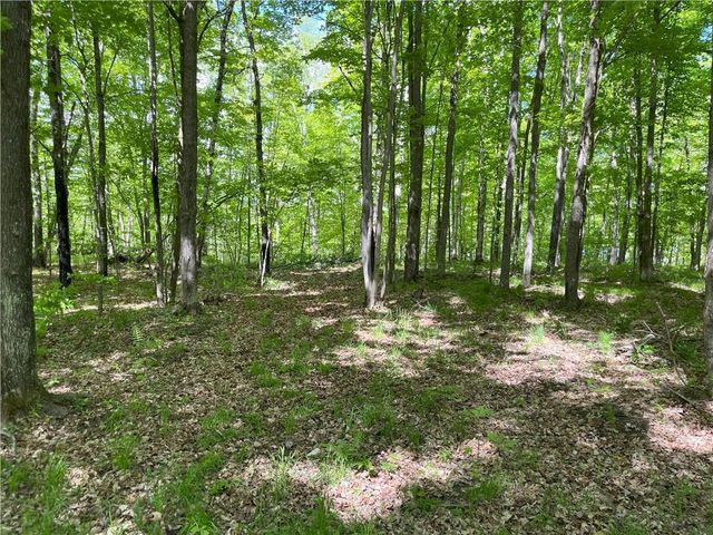 Lots 1,2, 7 Trapper Lane, Hayward, WI 54843