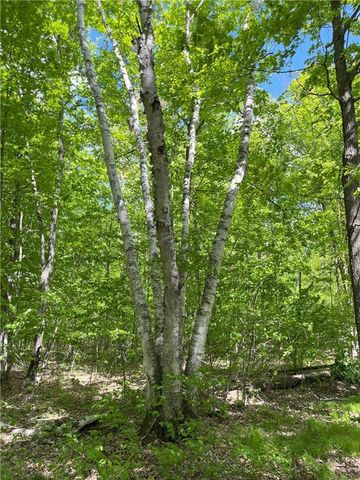 Lots 1,2, 7 Trapper Lane, Hayward, WI 54843