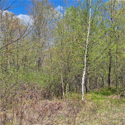 Lots 1,2, 7 Trapper Lane, Hayward, WI 54843