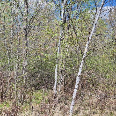 Lots 1,2, 7 Trapper Lane, Hayward, WI 54843