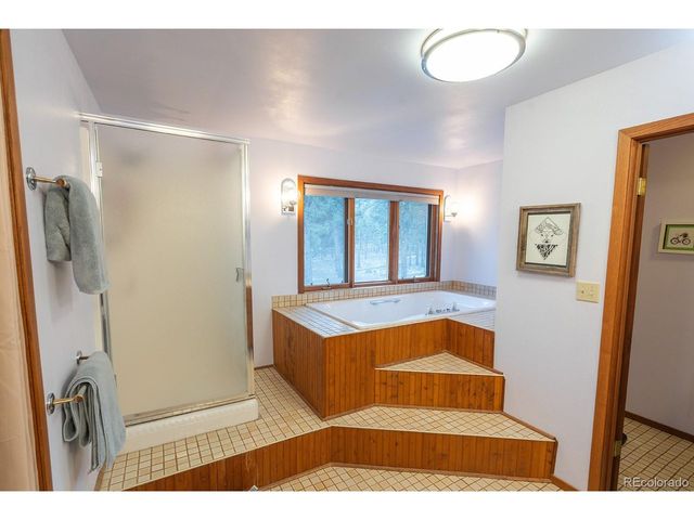 16670 Mt Princeton Rd, Buena Vista, CO 81211