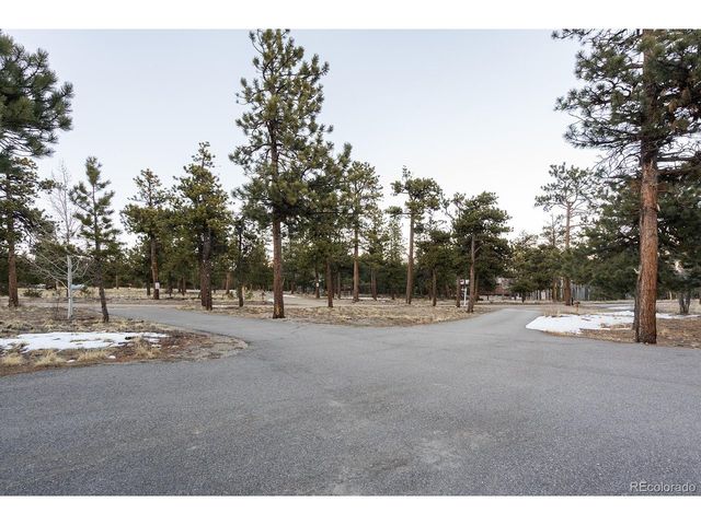 16670 Mt Princeton Rd, Buena Vista, CO 81211