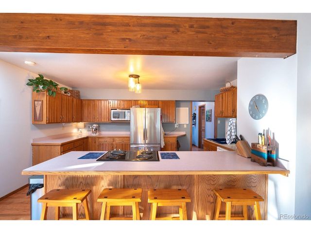 16670 Mt Princeton Rd, Buena Vista, CO 81211