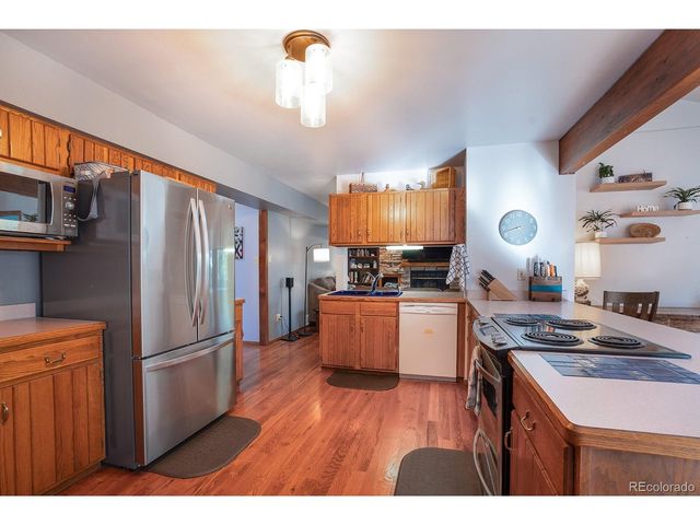 16670 Mt Princeton Rd, Buena Vista, CO 81211