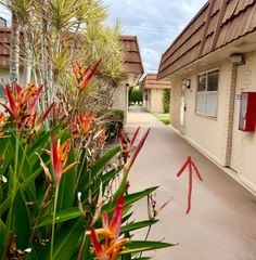 293 Seville M 293, Delray Beach, FL 33446