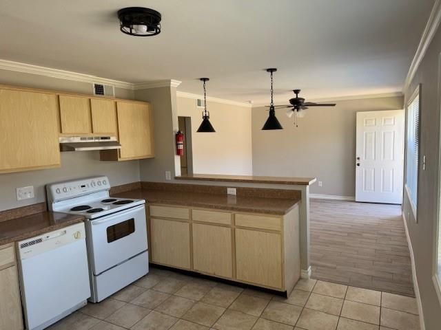 3620 Southmore Boulevard 11, Houston, TX 77004