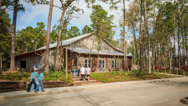 9107 Chirping Bird Lane, Montgomery, TX 77316