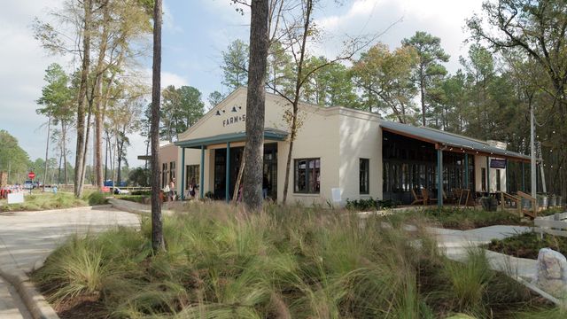 9107 Chirping Bird Lane, Montgomery, TX 77316