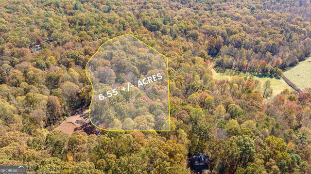 1010 Meadowview Ridge, Clarkesville, GA 30523