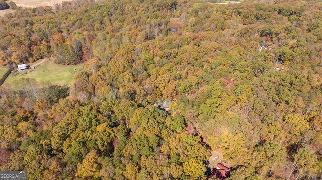 1010 Meadowview Ridge, Clarkesville, GA 30523