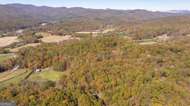 1010 Meadowview Ridge, Clarkesville, GA 30523