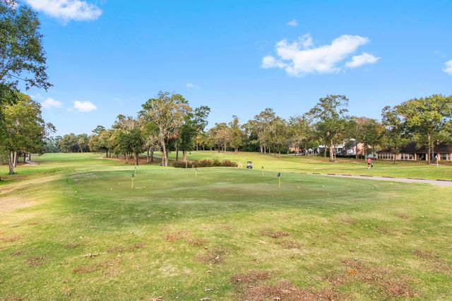 110 Hanover Lane, Panorama Village, TX 77304