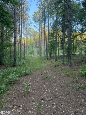 0 Old Rico Road, Chattahoochee Hills, GA 30268