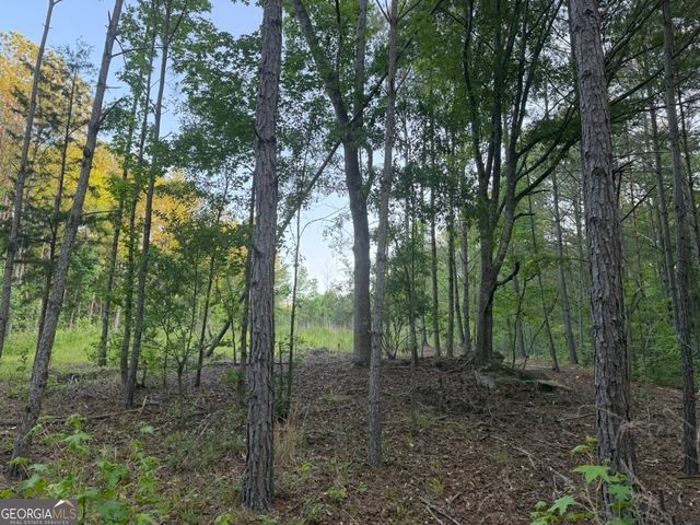 0 Old Rico Road, Chattahoochee Hills, GA 30268