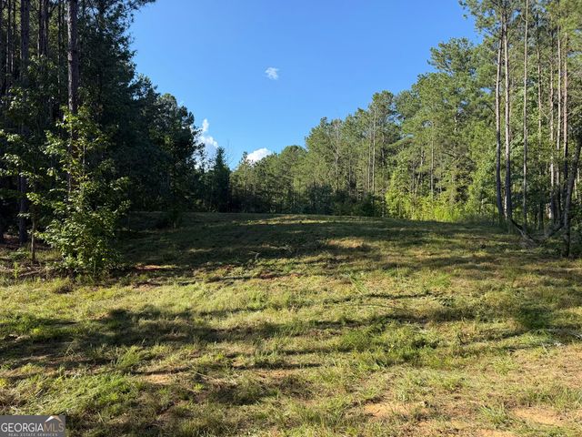 0 Old Rico Road, Chattahoochee Hills, GA 30268