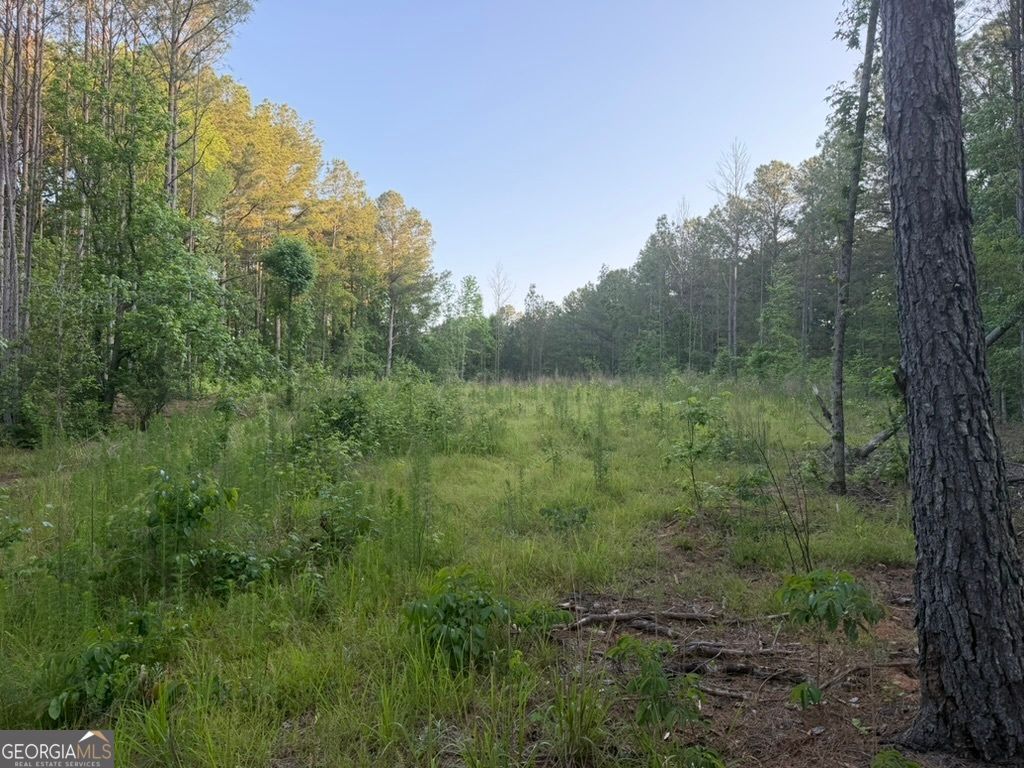 0 Old Rico Road, Chattahoochee Hills, GA 30268