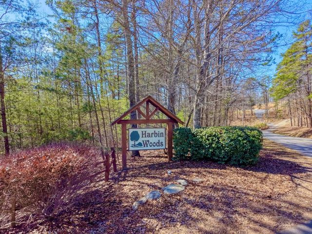 Lot 40 Lola Mae Way, Morganton, GA 30560