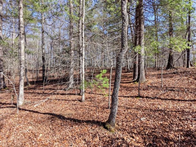 Lot 40 Lola Mae Way, Morganton, GA 30560