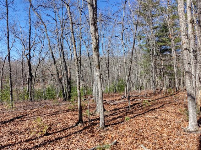 Lot 40 Lola Mae Way, Morganton, GA 30560