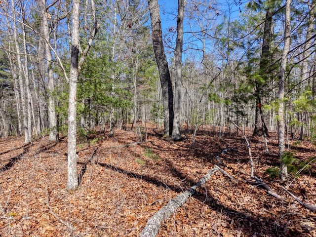 Lot 40 Lola Mae Way, Morganton, GA 30560