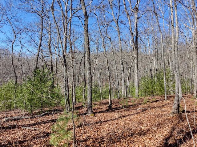 Lot 40 Lola Mae Way, Morganton, GA 30560