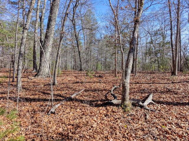 Lot 40 Lola Mae Way, Morganton, GA 30560