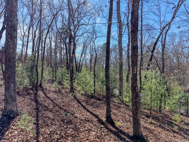 Lot 40 Lola Mae Way, Morganton, GA 30560