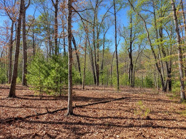 Lot 40 Lola Mae Way, Morganton, GA 30560