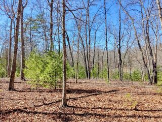 Lot 40 Lola Mae Way, Morganton, GA 30560