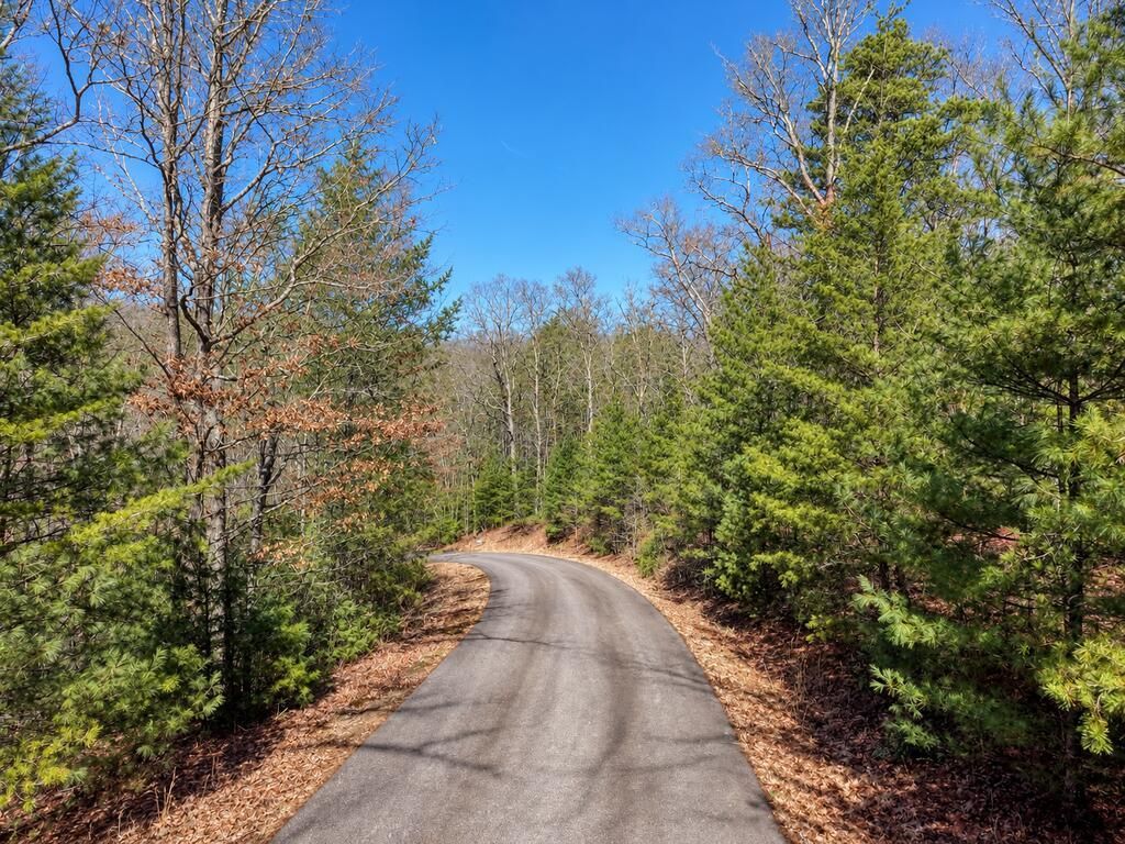 Lot 40 Lola Mae Way, Morganton, GA 30560