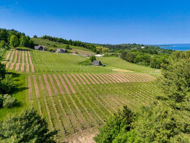 10702 E Hill Top Road, Suttons Bay, MI 49682