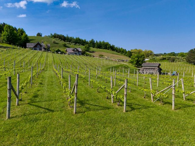 10702 E Hill Top Road, Suttons Bay, MI 49682