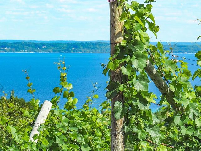 10702 E Hill Top Road, Suttons Bay, MI 49682