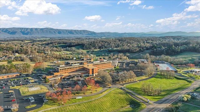 225 Mary Lamons Road, Afton, TN 37616