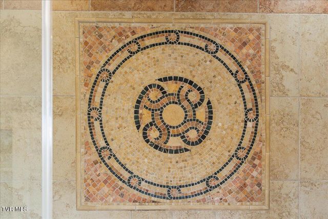 225 Mary Lamons Road, Afton, TN 37616