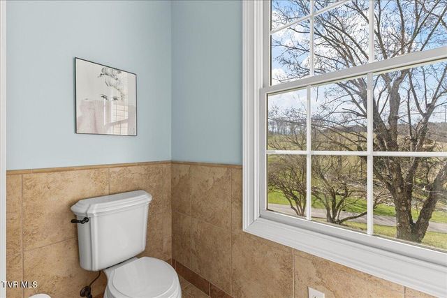 225 Mary Lamons Road, Afton, TN 37616