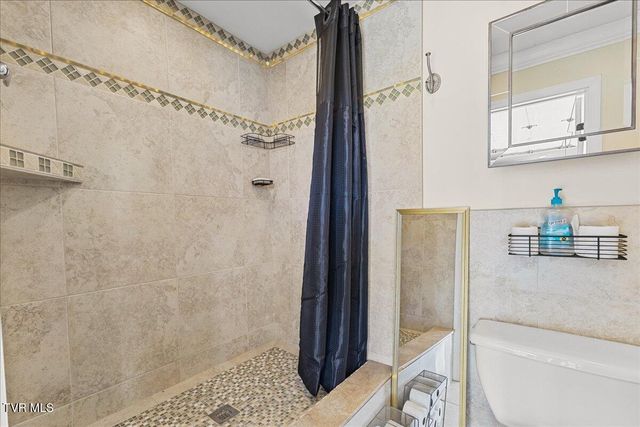 225 Mary Lamons Road, Afton, TN 37616