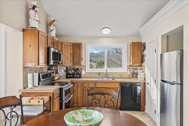 225 Mary Lamons Road, Afton, TN 37616