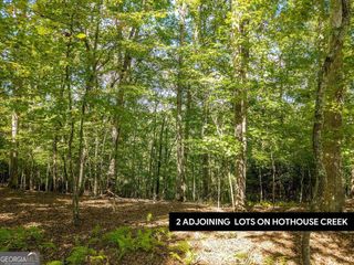 LT 27/28 Donna Lee Lane 27/28, Mineral Bluff, GA 30559