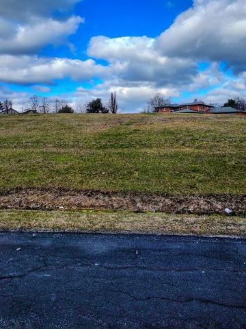 Lot 80 Boyington Lane, Monee, IL 60449