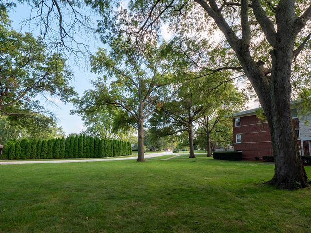 6862 W lode Drive 3A, Worth, IL 60482