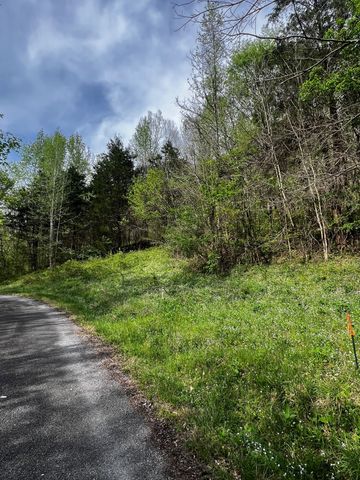 0 Weber Lane, Celina, TN 38551