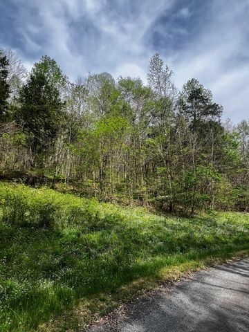 0 Weber Lane, Celina, TN 38551