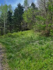 0 Weber Lane, Celina, TN 38551