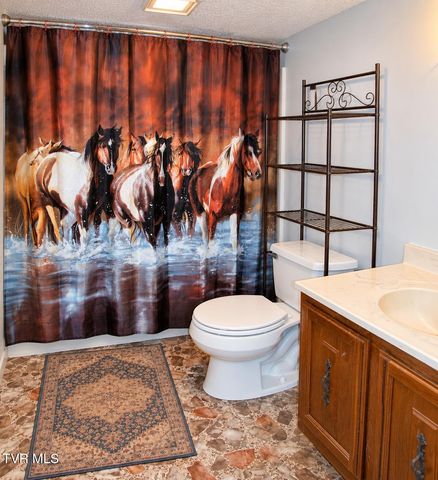 710 Colvert Road, Mosheim, TN 37818