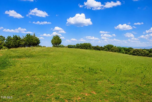 710 Colvert Road, Mosheim, TN 37818