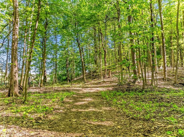 2099 E Clear Lake Road, Buchanan, MI 49107