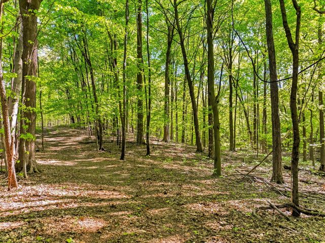 2099 E Clear Lake Road, Buchanan, MI 49107