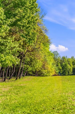 2099 E Clear Lake Road, Buchanan, MI 49107