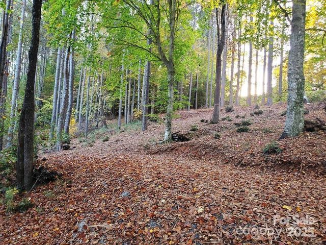 TBD Broadwater Drive 9, Granite Falls, NC 28630